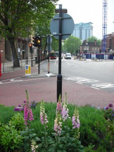 5_may08_foxgloves