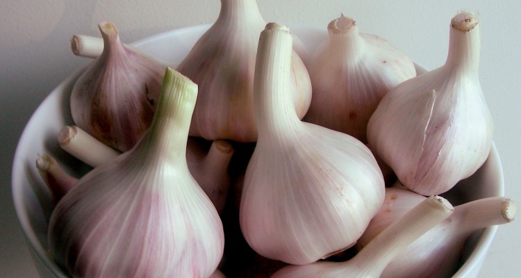 garlic