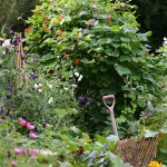 Tumbledown Farm