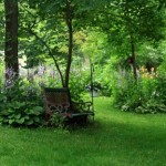 Diana's garden