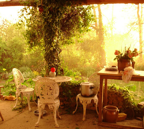 the view from the veranda