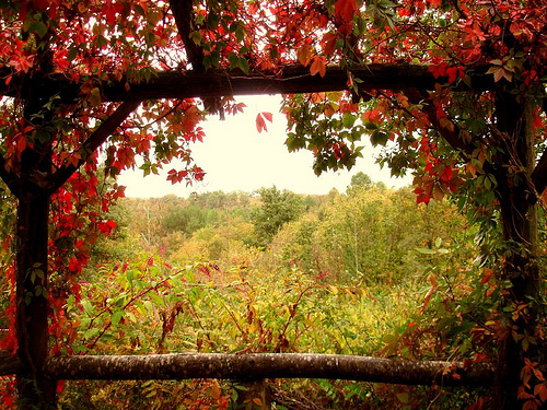 the view from the gloriette