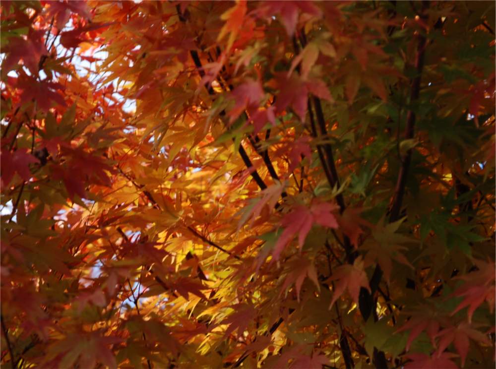 Image © Richard Todd. All rights reserved