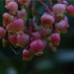 Image © Richard Todd. All rights reserved