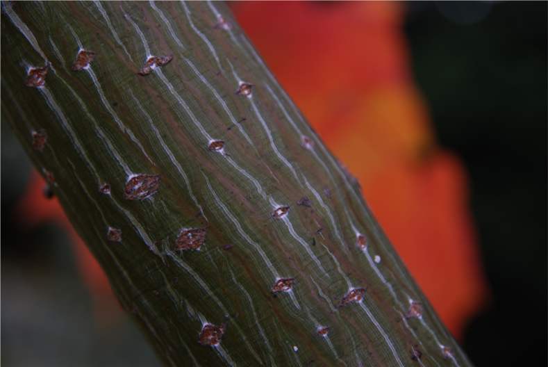 Image © Richard Todd. All rights reserved