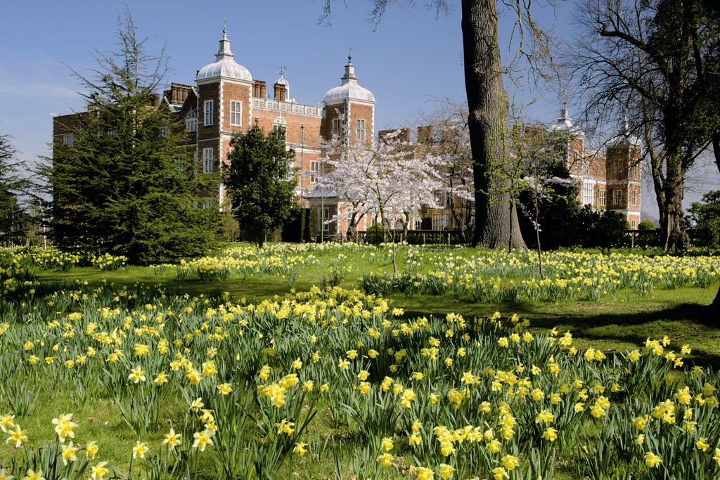 Image used with permission of Hatfield House. All rights reserved.