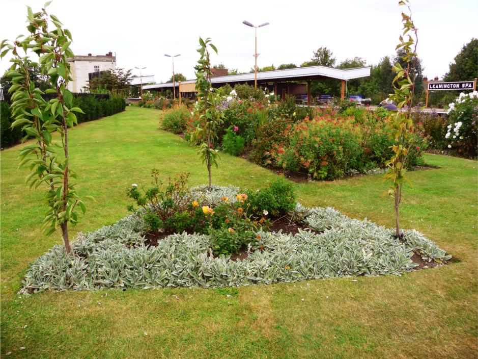 with-lawn