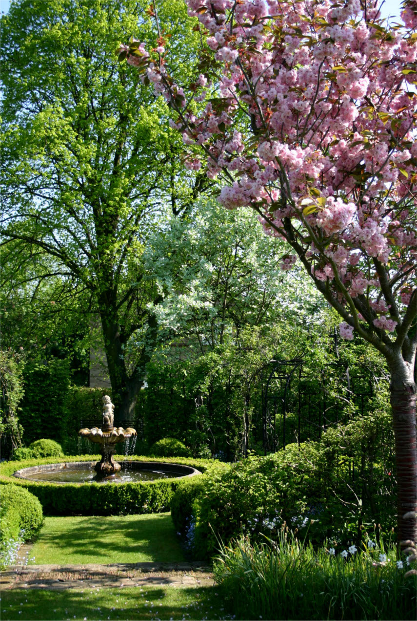Fountain with cherry blossom