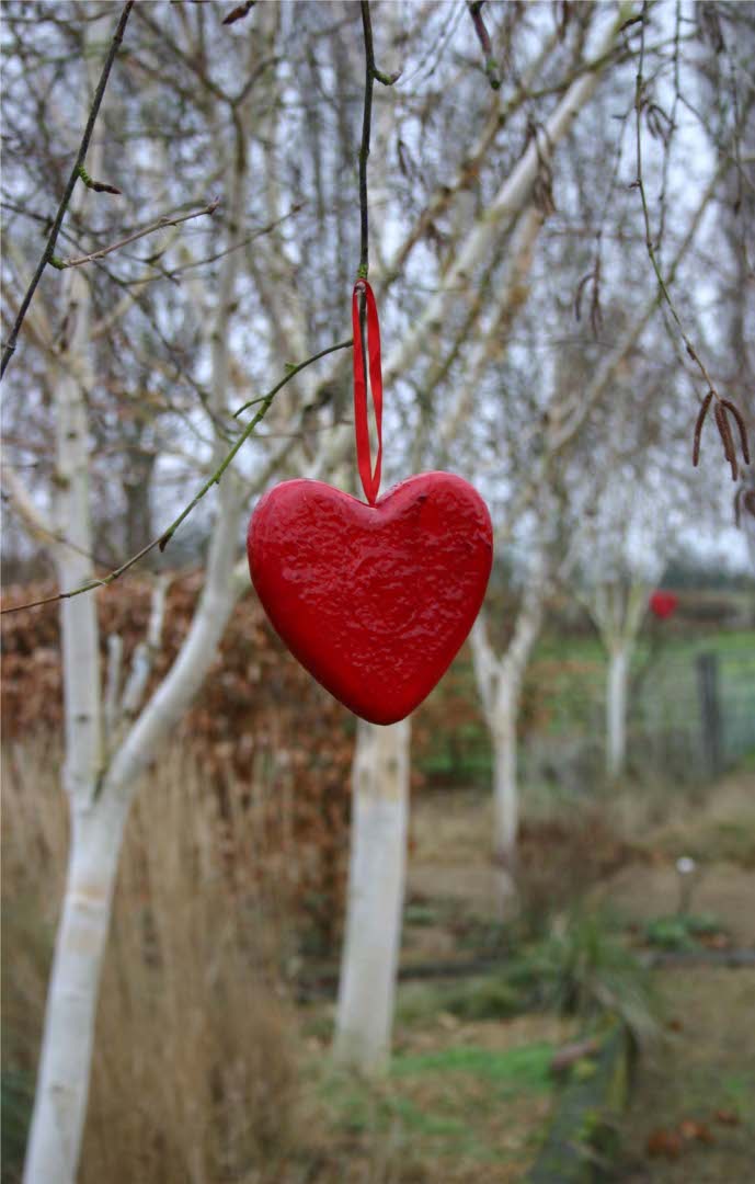birch-heart