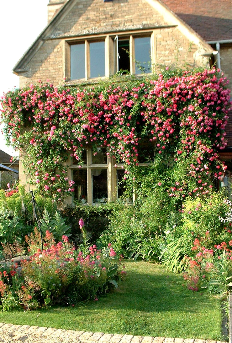Front of house