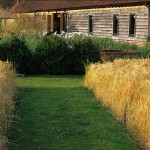 Image copyright Ian Smith, Acres Wild. All rights reserved.