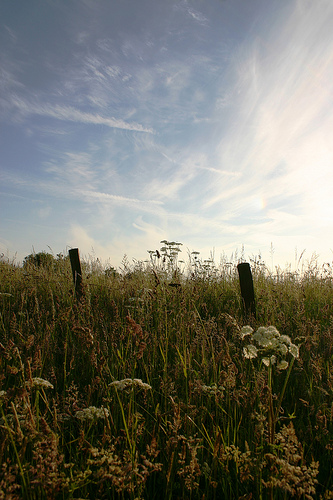 Image by Rachel