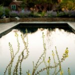 Design Showcase: Robin Williams and Associates