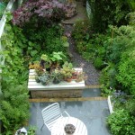 Martyn Cox's Garden