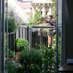 The Balcony Gardener