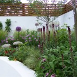 The urban fruit garden