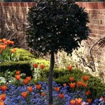 Caversham Court I