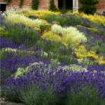 Clever Caversham Court