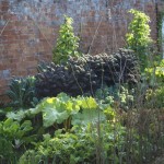 The walled garden, Adderbury
