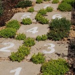 A family garden