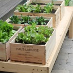 Wine crate garden
