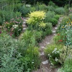 The no-work native garden
