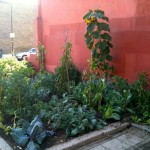 The Edible Bus Stop