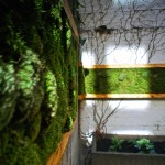The Google garden