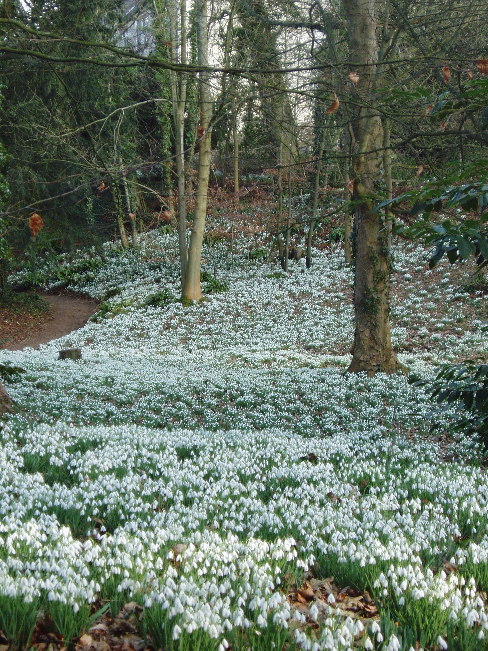 painswick rococo garden