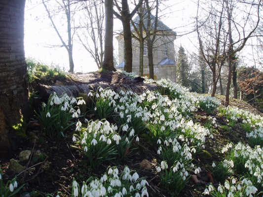 Painswick rococo garden