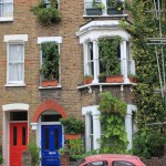 Vertical Veg