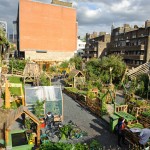 Union Street Urban Orchard