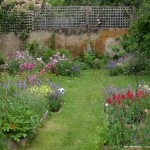 Laetitia Maklouf's garden